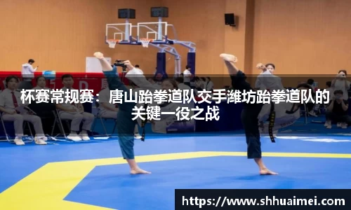 杯赛常规赛：唐山跆拳道队交手潍坊跆拳道队的关键一役之战
